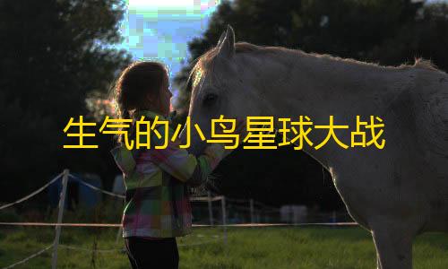 地铁逃生直装辅助器生气的小鸟星球大战